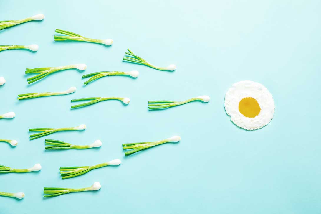 leeks swimming towards an egg